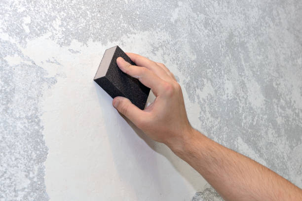 Best Mold Remediation for Healthcare Facilities  in Altamont, NY
