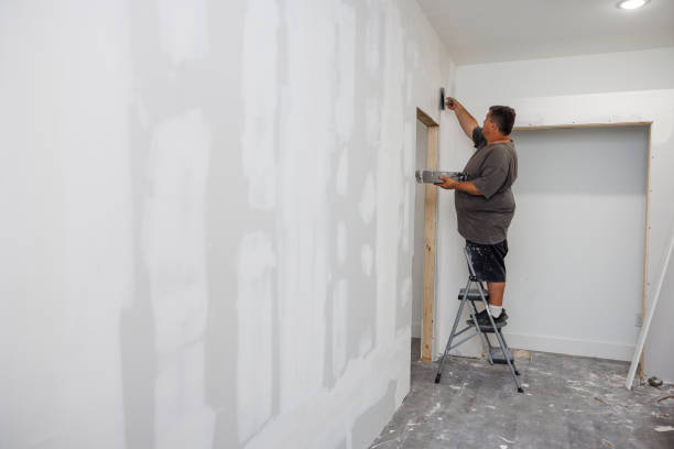 Best Black Mold Removal  in Altamont, NY